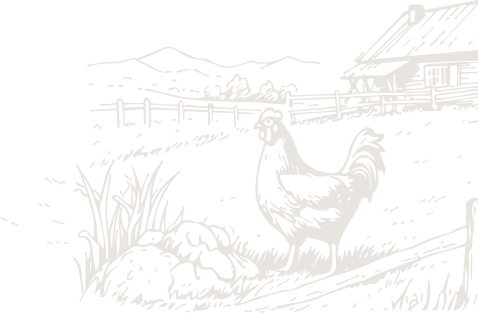 SPS-Organics-India-Pvt-Ltd