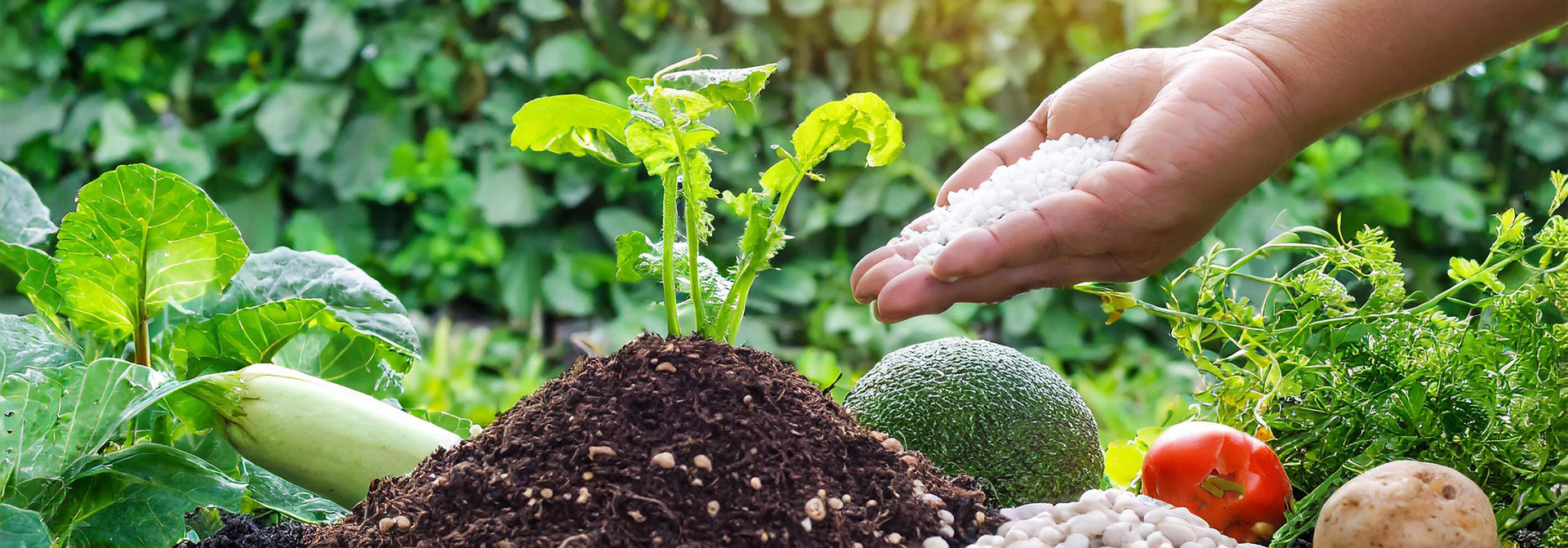 SPS-Organics-India-Pvt-Ltd