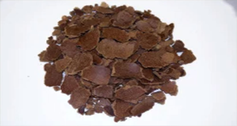 SPS-Organics-India-Pvt-Ltd