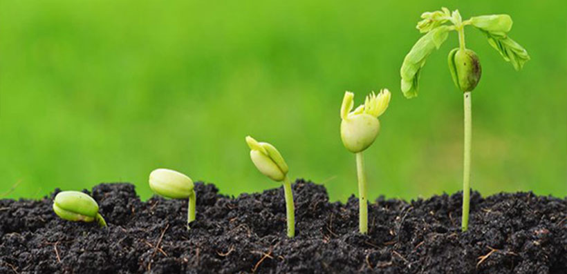 SPS-Organics-India-Pvt-Ltd