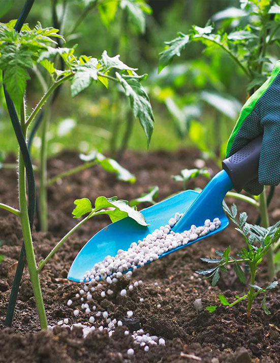 SPS-Organics-India-Pvt-Ltd